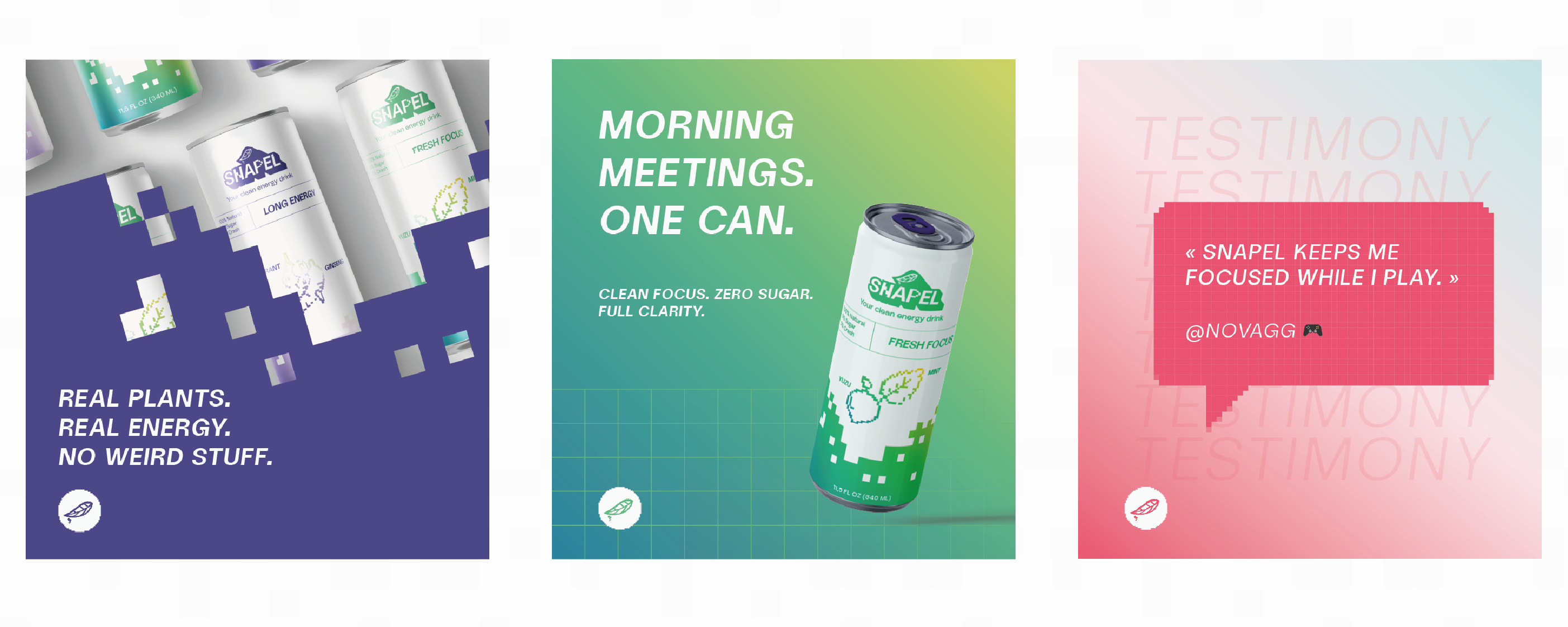 Snapel Graphic Directions and Social Media